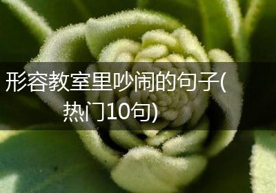 形容教室里吵闹的句子(热门10句)
