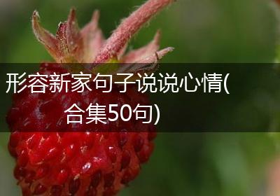 形容新家句子说说心情(合集50句)