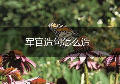 军官造句怎么造