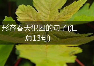 形容春天犯困的句子(汇总13句)