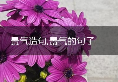 景气造句,景气的句子