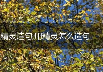 精灵造句,用精灵怎么造句