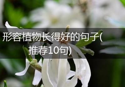 形容植物长得好的句子(推荐10句)