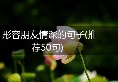 形容朋友情深的句子(推荐50句)
