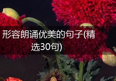 形容朗诵优美的句子(精选30句)
