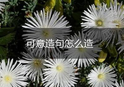 可意造句怎么造