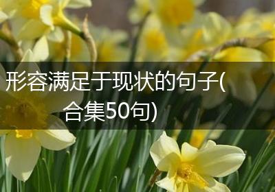 形容满足于现状的句子(合集50句)
