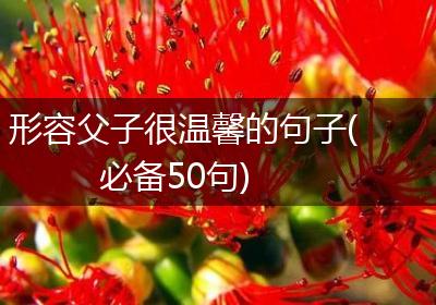 形容父子很温馨的句子(必备50句)