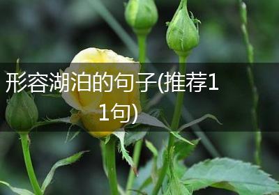 形容湖泊的句子(推荐11句)
