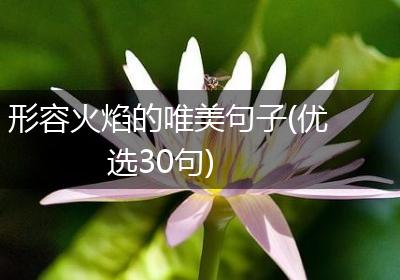 形容火焰的唯美句子(优选30句)