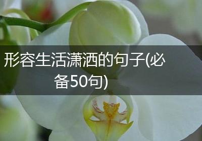 形容生活潇洒的句子(必备50句)