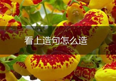 看上造句怎么造