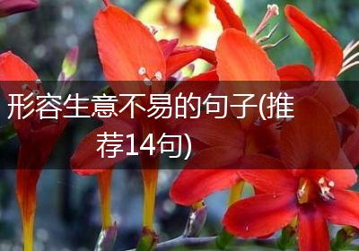 形容生意不易的句子(推荐14句)