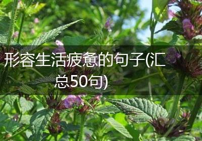 形容生活疲惫的句子(汇总50句)