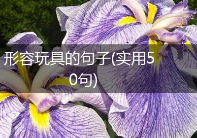 形容玩具的句子(实用50句)