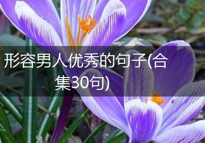 形容男人优秀的句子(合集30句)