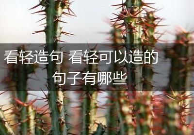 看轻造句 看轻可以造的句子有哪些