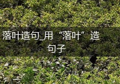 落叶造句_用“落叶”造句子