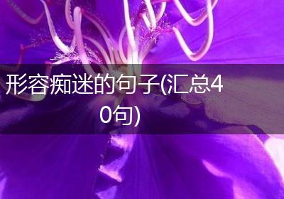 形容痴迷的句子(汇总40句)