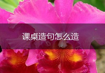 课桌造句怎么造