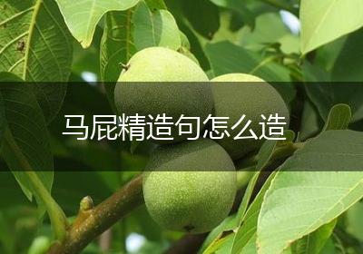 马屁精造句怎么造