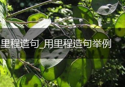 里程造句_用里程造句举例
