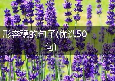形容稳的句子(优选50句)