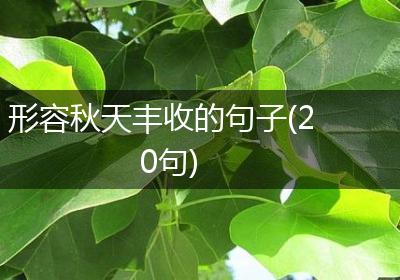 形容秋天丰收的句子(20句)
