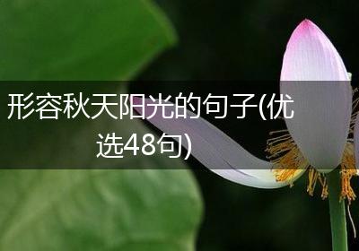 形容秋天阳光的句子(优选48句)