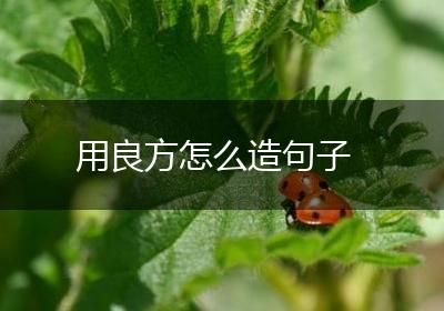用良方怎么造句子
