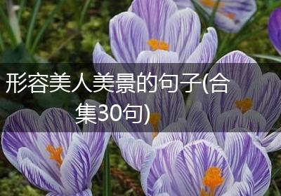 形容美人美景的句子(合集30句)