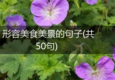 形容美食美景的句子(共50句)