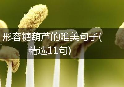 形容糖葫芦的唯美句子(精选11句)