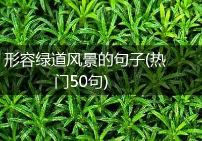 形容绿道风景的句子(热门50句)