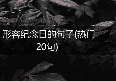 形容纪念日的句子(热门20句)