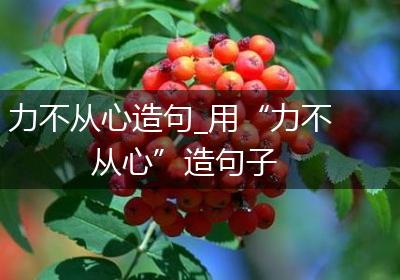 力不从心造句_用“力不从心”造句子