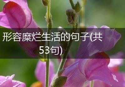 形容糜烂生活的句子(共53句)
