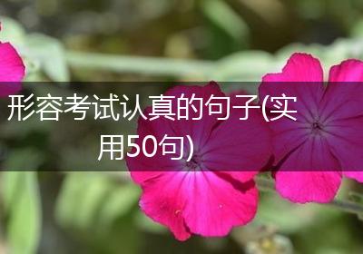 形容考试认真的句子(实用50句)