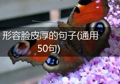 形容脸皮厚的句子(通用50句)