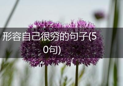 形容自己很穷的句子(50句)