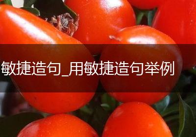 敏捷造句_用敏捷造句举例