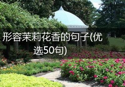 形容茉莉花香的句子(优选50句)