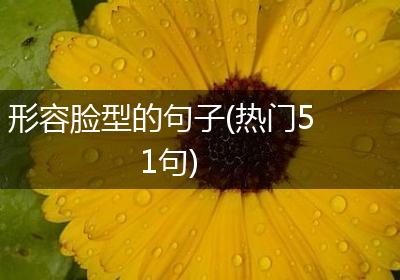形容脸型的句子(热门51句)