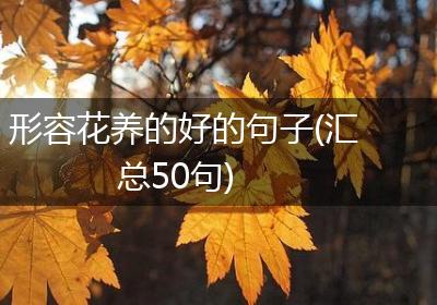 形容花养的好的句子(汇总50句)