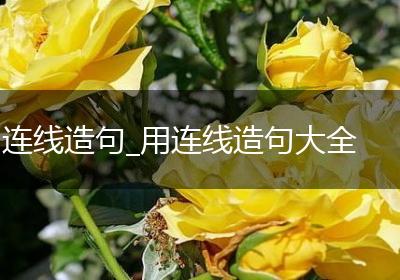 连线造句_用连线造句大全