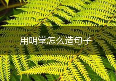 用明堂怎么造句子