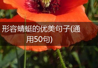 形容蜻蜓的优美句子(通用50句)
