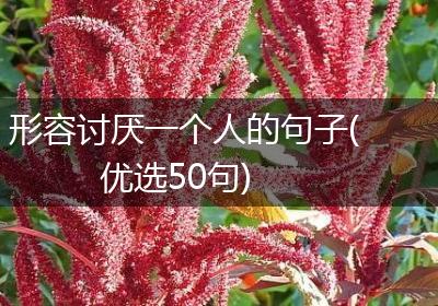 形容讨厌一个人的句子(优选50句)