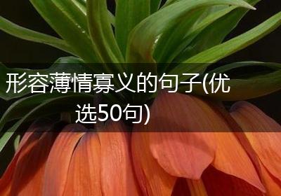形容薄情寡义的句子(优选50句)