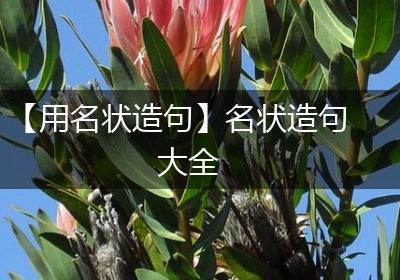 【用名状造句】名状造句大全